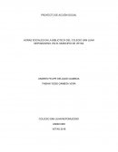 PROYECTO DE ACCIÓN SOCIAL