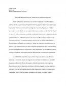 Ejemplo de un Ensayo Sobre Niebla