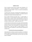 LOS PROYECTOS SOCIALES DE DESARROLLO