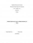 Análisis impacto de la caza en el Medio Ambiente y la Fauna