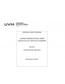 El desarrollo de la Tabla comparativa