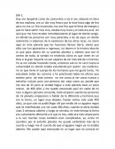 Diario ¿Quién quiere perfección es su vida?