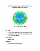 PLAN DE NEGOCIOS CENTRO DE ESTIMULACION TEMPRANA “MIS PRIMEROS PASITOS”