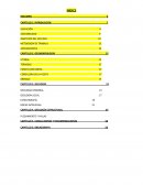 INFORME DE CAMPO MEJIA 2017