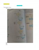 MACROMOLECULAS ACIDOS NUCLEICOS