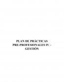 PLAN DE PRÁCTICAS PRE-PROFESIONALES IV – GESTIÓN