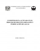 Clinoptilolita activada en el proceso de descontaminación y purificación de aguas