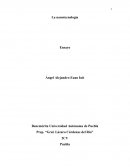 La nanotecnologia Euano