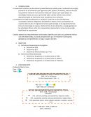 Practica 1 bioquimica