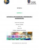 Actividad de metacognicion organización y jerarquizacion