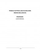 TRABAJO EXTRACLASE DE BIOLOGÍA REINOS BIOLÓGICOS