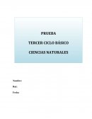 Pruebas de nivelación tercer ciclo basico