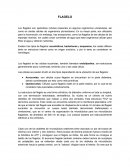 Información básica sobre los flagelos