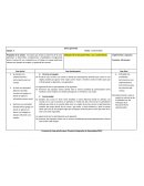 Enfoques de la educación física y sus características