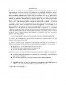 INFORME DE TRASLADO “TRANSPORTE INTERNO DE PRODUCTOS QUÍMICOS”