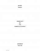 ENSAYO COACHING. Un coach es una persona con gran nivel de experiencia