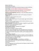 Músculos del tórax. Pared posterior del tronco