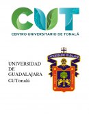 ESTRUCTURAS POLITICAS DE MEXICO