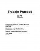 Las configuraciones didácticas