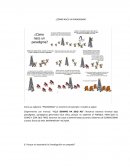 Paradigma y como nace un paradigma