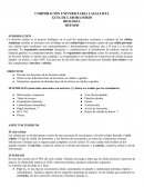 MITOSIS CORPORACIÓN UNIVERSITARIA LASALLISTA