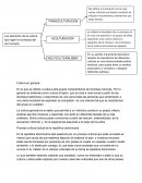 Proceso cultural actual de la república dominicana