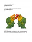 Tarea Individual II. Ensayo sobre la comunicación interpersonal.