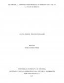 ESTUDIO DE LA LUDOPATIA COMO PROBLEMA EN PERSONAS ADULTAS EN LA CIUDAD DE BOGOTA