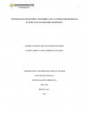 INTELIGENCIA FINANCIERA Y ECONÓMICA EN LA UTILIZACIÓN DE BOLSAS PLÁSTICAS EN LOS HOGARES DE BOGOTÁ