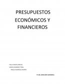 Ampliacion de capital PRESUPUESTOS