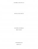 COLOMBIA Y HOLANDA TLC