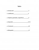 VALORES ETICA PROFESIONAL