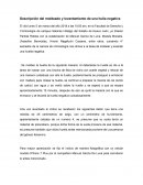 Descripción del moldeado y levantamiento de una hulla negativa