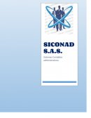 PRESETANCION SICONAD S.A.S