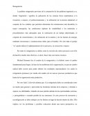 Reingenieria. Los pasos básicos del proceso