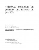 TRIBUNAL SUPERIOR DE JUSTICIA DEL ESTADO DE JALISCO.