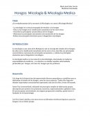 Hongos: ¿Es importante la Micologia?