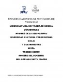 DIVERSIDAD CULTURAL VERACRUZANA