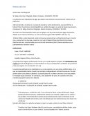 Los pioneros son impulsores de algo, que darán una estructura de producción. Edison ería el padre de t