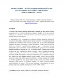 EXTRACCIÓN DE CAFEÍNA DE BEBIDAS EENERGÉTICAS UTILIZANDO EXTRACCIÓN EN FASE SÓLIDA