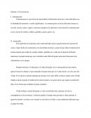 Introducción: Ensayo cavernicola