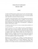 Practica Derecho Constitucional II