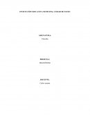 LA POLÍTICA MADRE DE LA CORRUPCIÓN