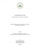 Consultoría en Sistemas. Metodología de trabajo en consultoría.