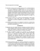 Ensayo Fases de programación de las etapas