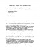 Teniendo en cuenta la lectura de las reglas de método sociológico de Durkheim, reflexionar los siguientes conceptos.