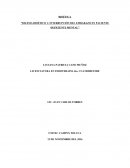 DILEMA BIOÉTICO 1: INTERRUPCIÓN DEL EMBARAZO EN PACIENTE DEFICIENTE MENTAL