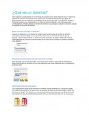 Documento ¿Qué es un dominio?