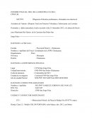 INFORME POLICIAL NRO. 002-12-DIRTEPOL/CS.CHUL/