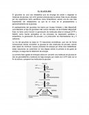Glucolosis EL GLUCOLISIS El glucolisis es una ruta metabólica que se encarga de oxidar o degradar la molécula de glucosa